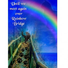 PET SYMPATHY GREETING CARD Rainbow Bridge Cat